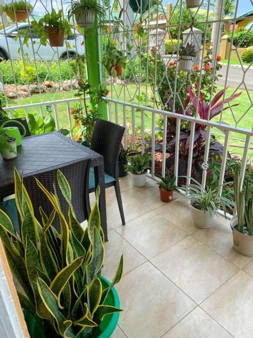 Cozy Villa Mammee Bay Екстер'єр фото